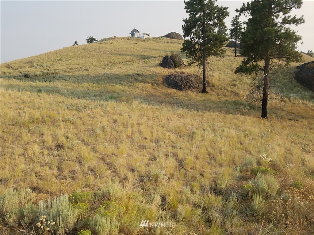 0 Spring Canyon Road Orondo, WA 98843 - Photo 6 of 17 Gallery Image 6