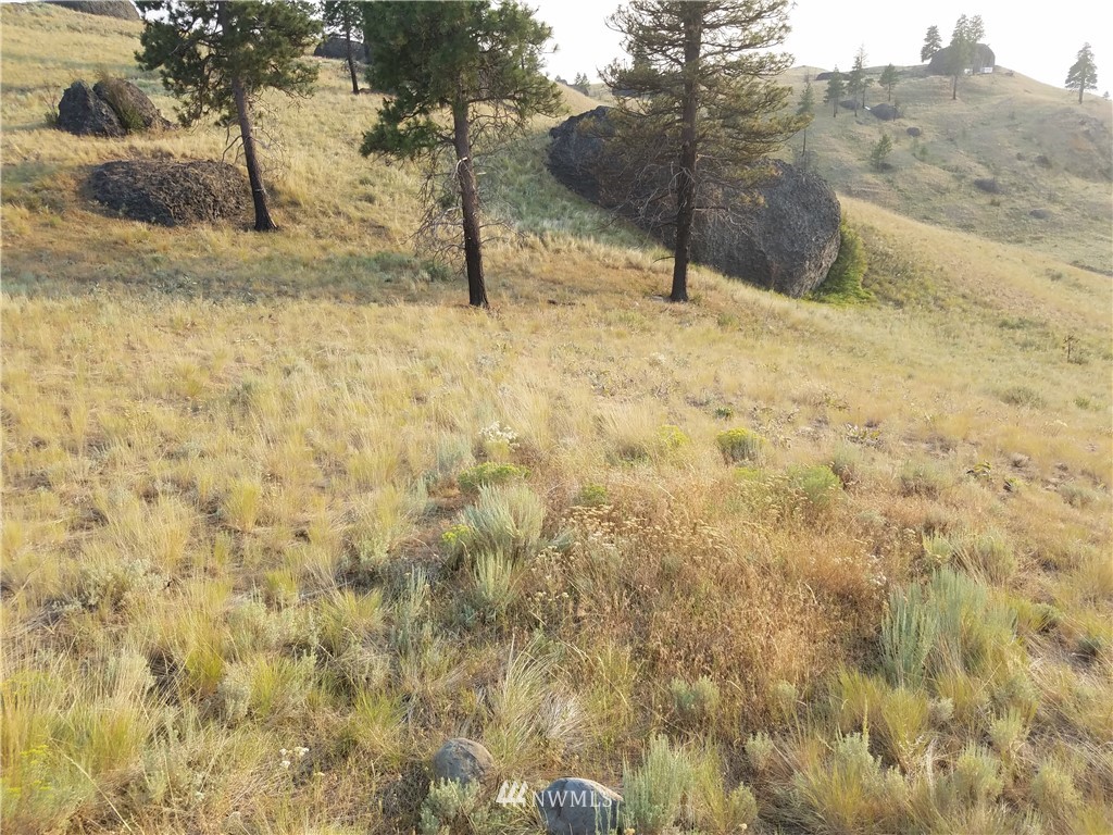 0 Spring Canyon Road Orondo, WA 98843 - Photo 7 of 17 Gallery Image 7