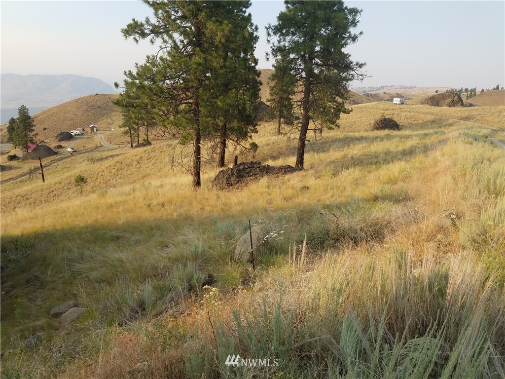 0 Spring Canyon Road Orondo, WA 98843 - Photo 8 of 17 Gallery Image 8