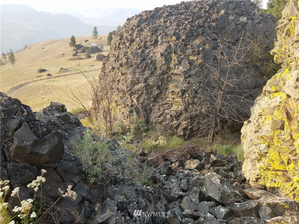 0 Spring Canyon Road Orondo, WA 98843 - Photo 9 of 17 Gallery Image 9