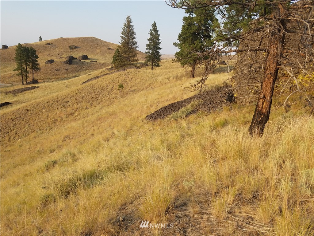 0 Spring Canyon Road Orondo, WA 98843 - Photo 10 of 17 Gallery Image 10