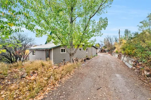 a view of a yard with plants and tree
