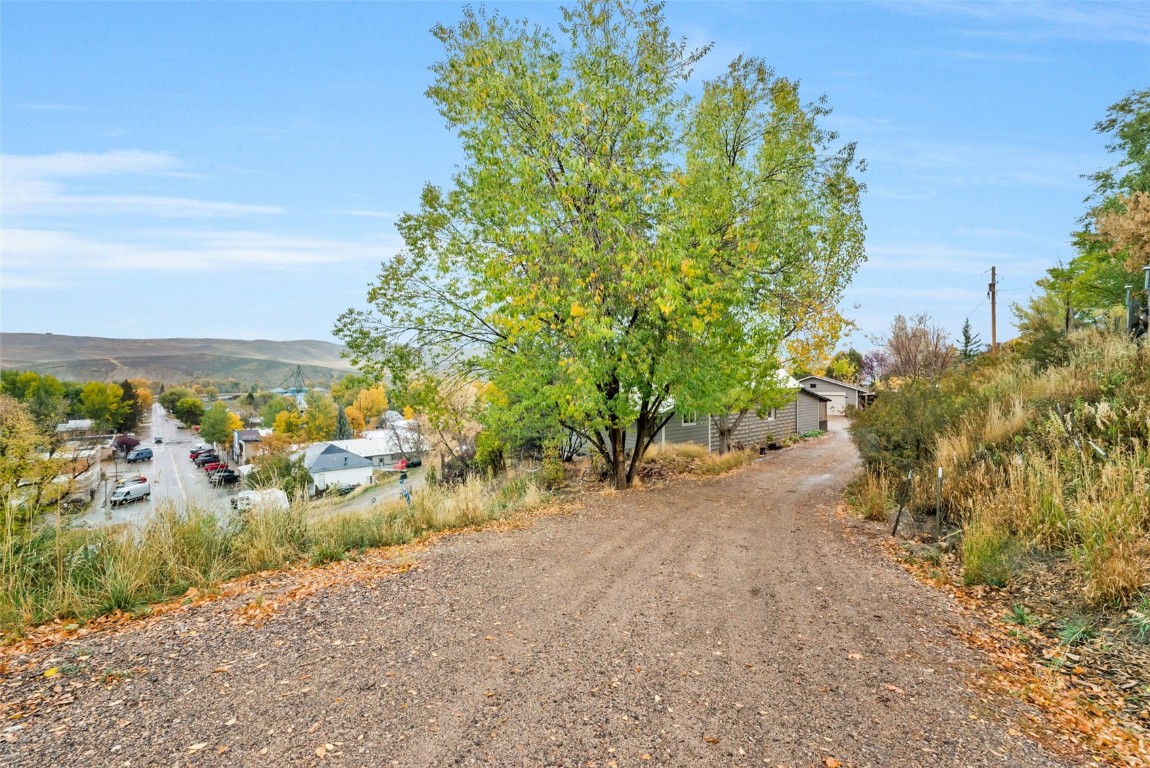 250 South Spruce Street Hayden, CO 81639 - Photo 45 of 46 a view of a yard with plants and tree