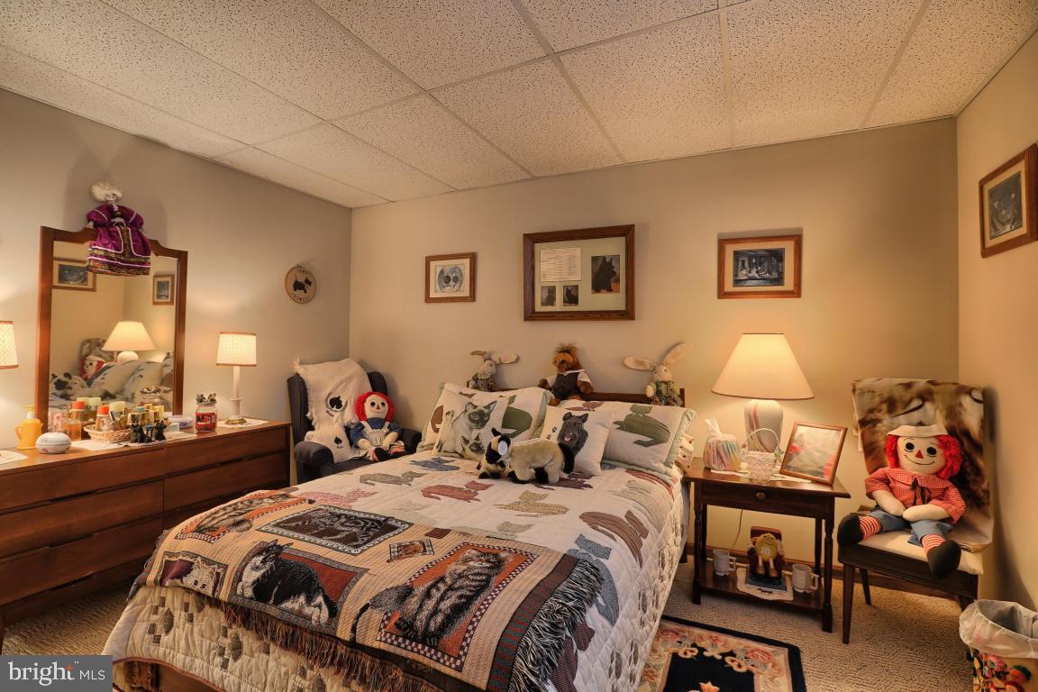 823 Power Road Manheim, PA 17545 - Photo 27 of 66