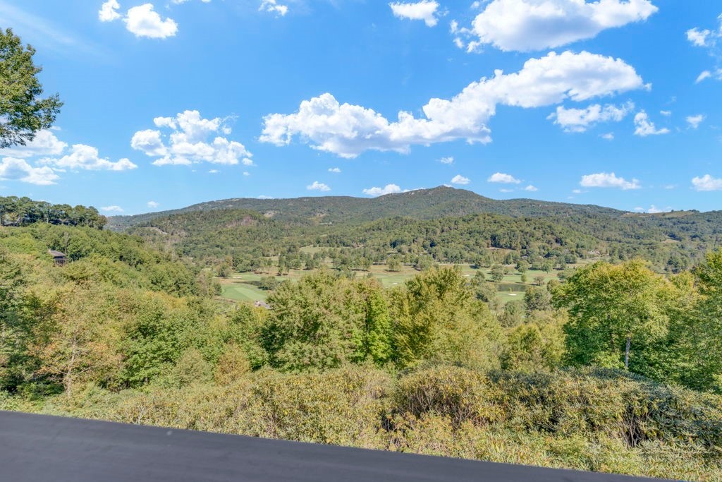 500 Laurel Ridge Lane, Unit B1 Banner Elk, NC 28604 - Photo 29 of 47 Gallery Image 29