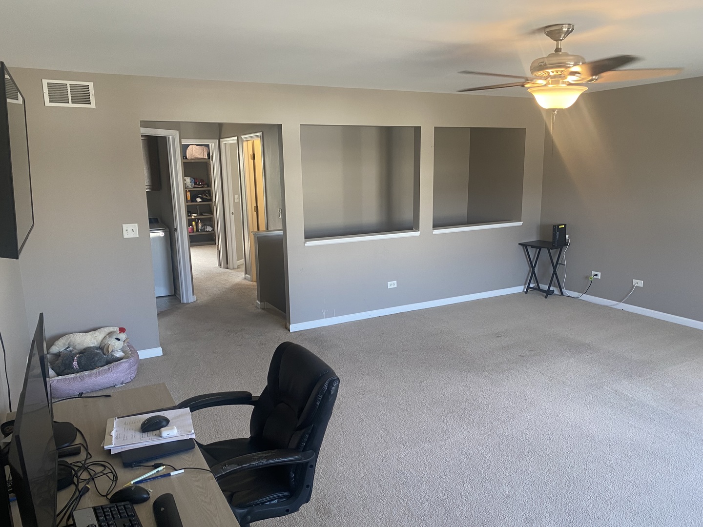 4916 Montauk Drive Plainfield, IL 60586 - Photo 14 of 19