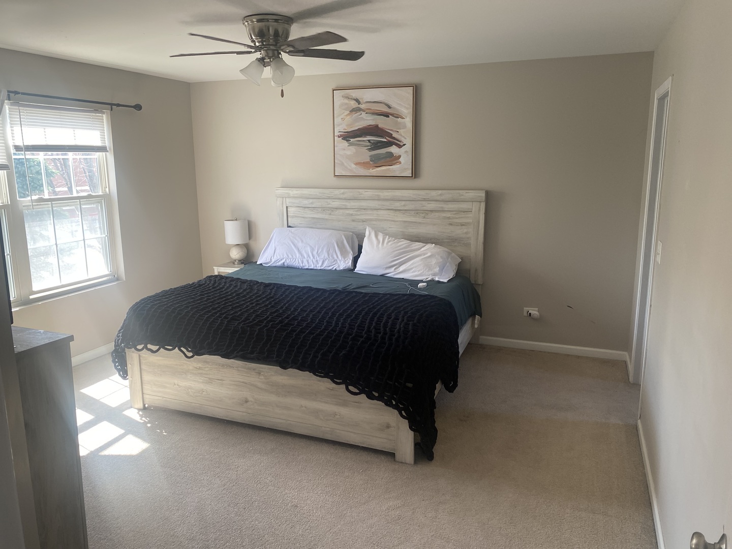 4916 Montauk Drive Plainfield, IL 60586 - Photo 18 of 19