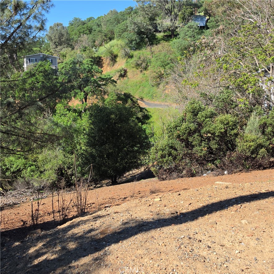 13477 Arrowhead Road Clearlake, CA 95422 - Photo 12 of 17 a view of a yard with a tree