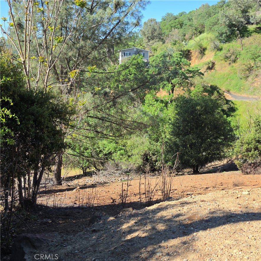 13477 Arrowhead Road Clearlake, CA 95422 - Photo 13 of 17 a view of a yard with a tree