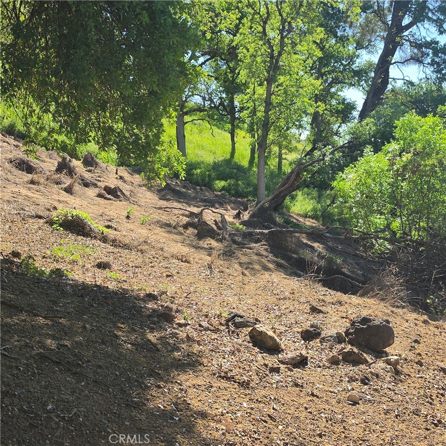 13477 Arrowhead Road Clearlake, CA 95422 - Photo 15 of 17 a view of a backyard