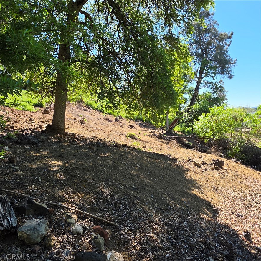 13477 Arrowhead Road Clearlake, CA 95422 - Photo 16 of 17 a view of a road with a trees