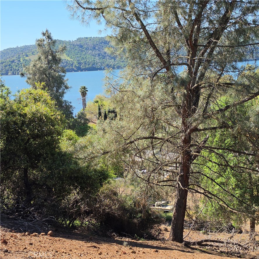 13477 Arrowhead Road Clearlake, CA 95422 - Photo 2 of 17 a view of a tree in a yard