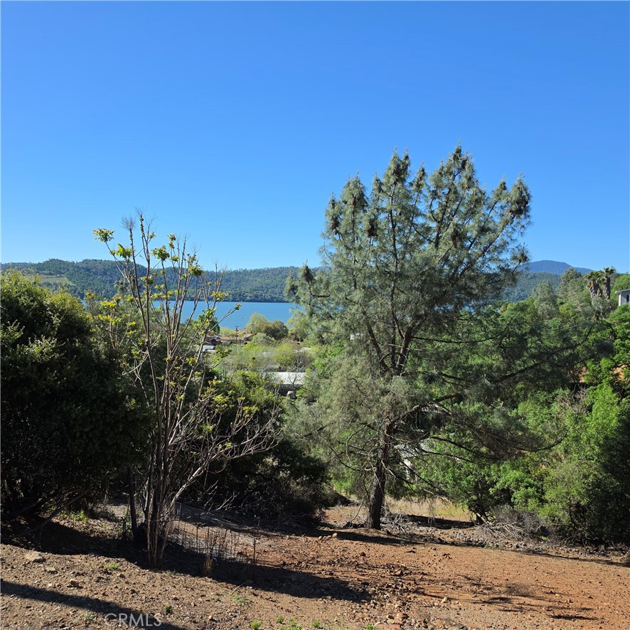 13477 Arrowhead Road Clearlake, CA 95422 - Photo 3 of 17 a view of a garden