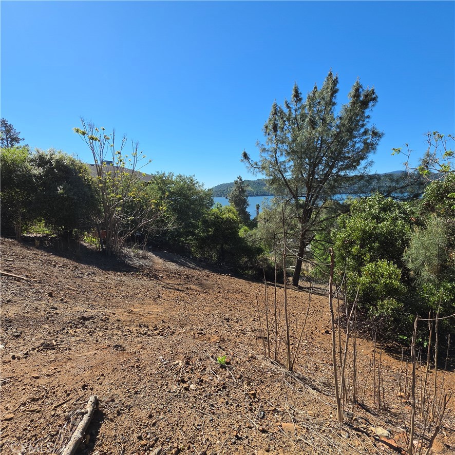 13477 Arrowhead Road Clearlake, CA 95422 - Photo 7 of 17 a view of a yard of a house