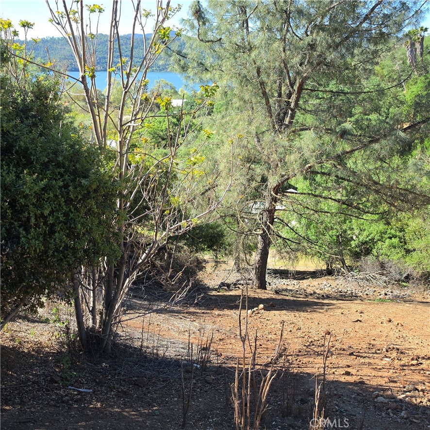 13477 Arrowhead Road Clearlake, CA 95422 - Photo 8 of 17 a view of a yard with mountain view