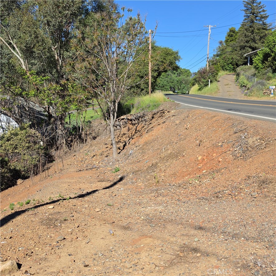 13477 Arrowhead Road Clearlake, CA 95422 - Photo 9 of 17 a view of a yard with large trees