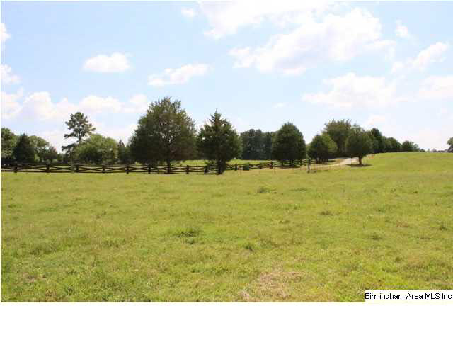 Mudd Street Lincoln, AL 35096 - Photo 15 of 32