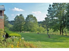 1275 Old Baxter Road Fall Branch, TN 37656 - Photo 20 of 23 Photo 20