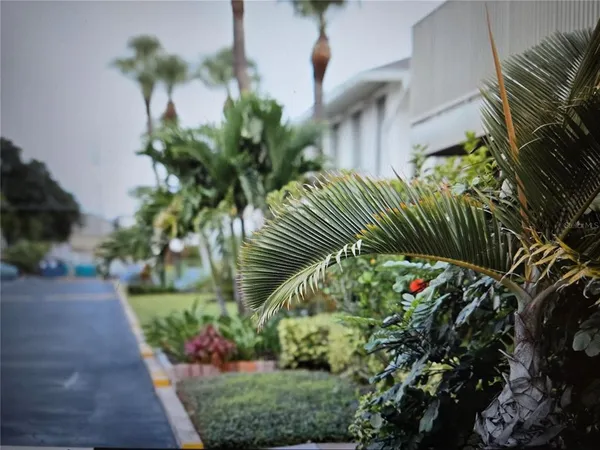 a plant that is in the garden