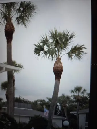 a vase of flowers sitting on a table with a vase of flower