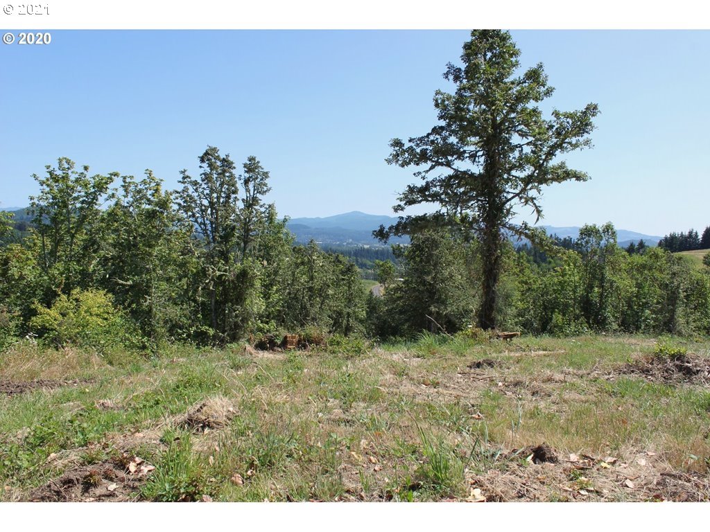 Infinty Lane, Unit 403 Springfield, OR 97478 - Photo 4 of 11