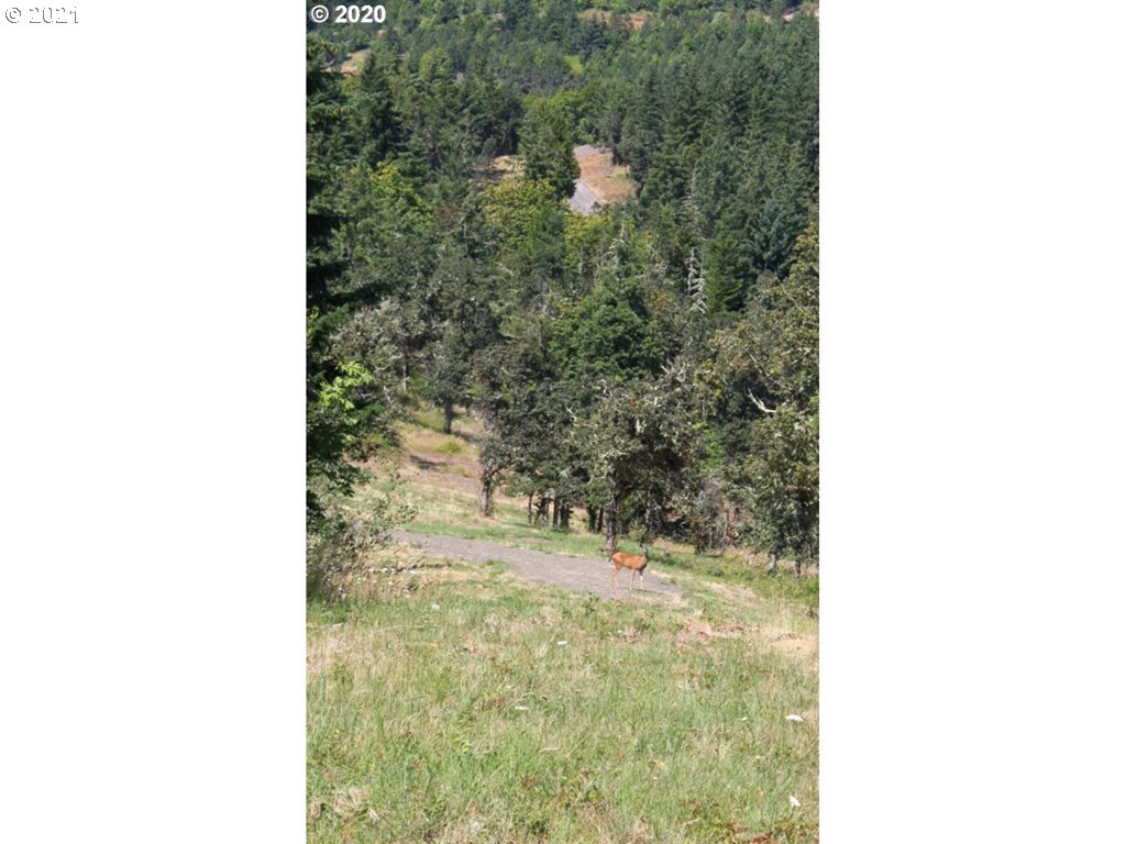 Infinty Lane, Unit 403 Springfield, OR 97478 - Photo 6 of 11