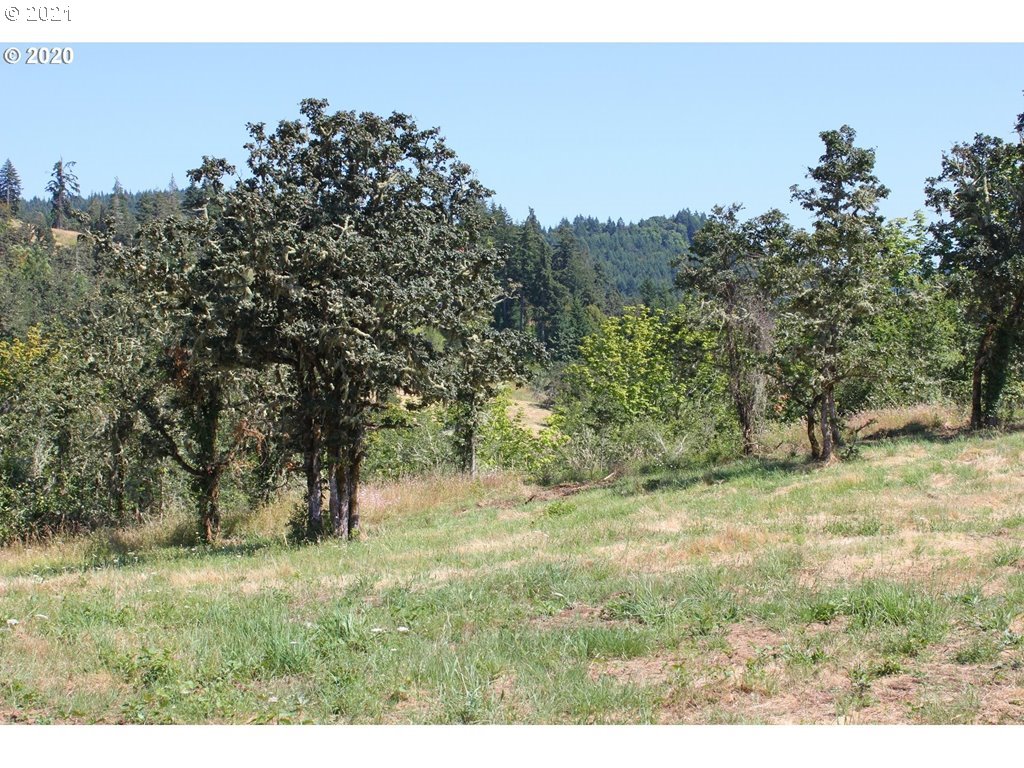 Infinty Lane, Unit 403 Springfield, OR 97478 - Photo 9 of 11