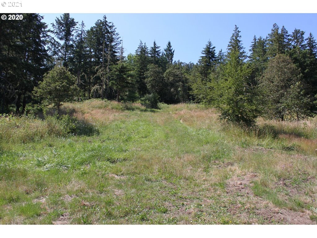 Infinty Lane, Unit 403 Springfield, OR 97478 - Photo 10 of 11