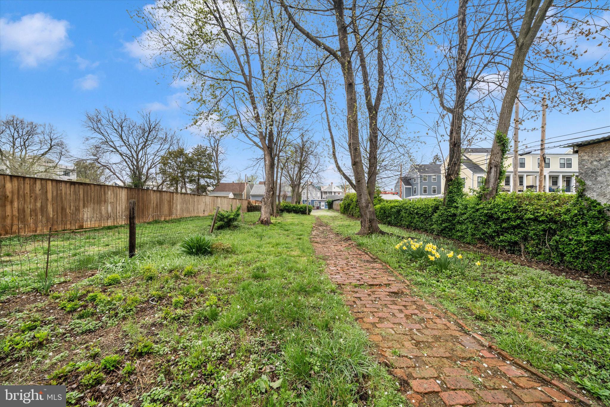 129 West 4th Street Frederick, MD 21701 - Photo 58 of 70 Rear Yard Ready For Your Creativity