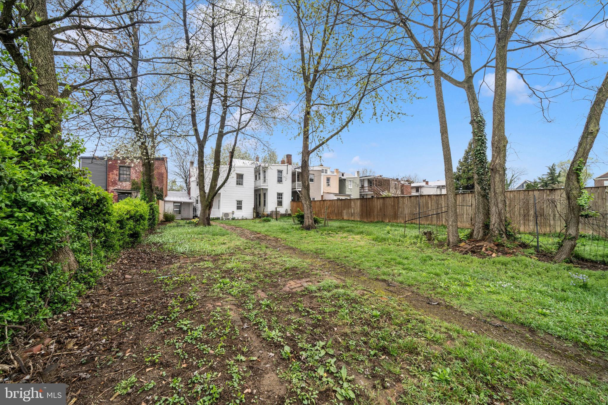 129 West 4th Street Frederick, MD 21701 - Photo 64 of 70 a view of a yard with large trees