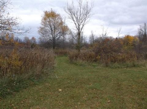 4225 Calkins Road Flint, MI 48532 - Photo 15 of 21 20185295-14.JPG