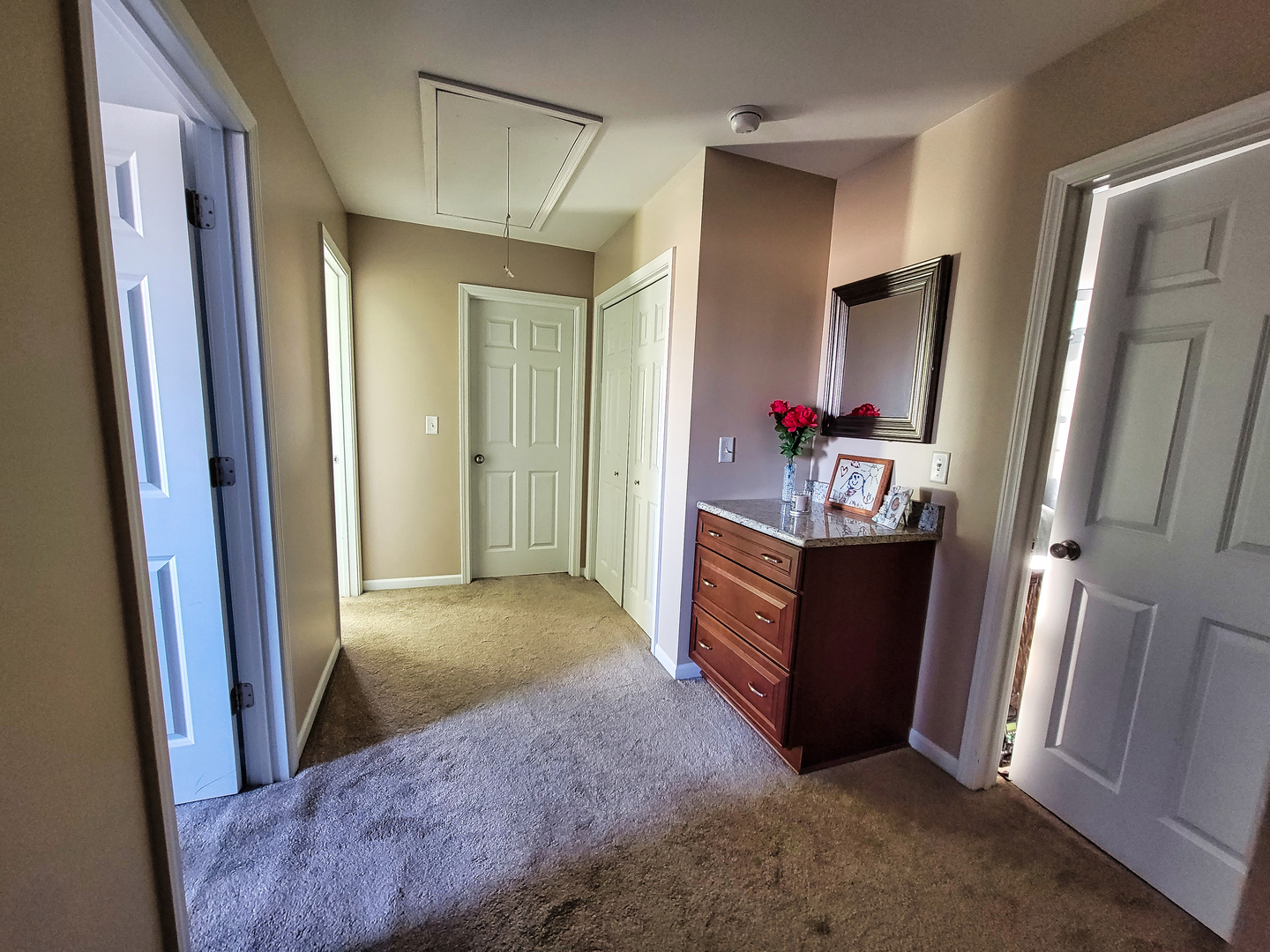 292 South Will Road Diamond, IL 60416 - Photo 17 of 19 a view of living room