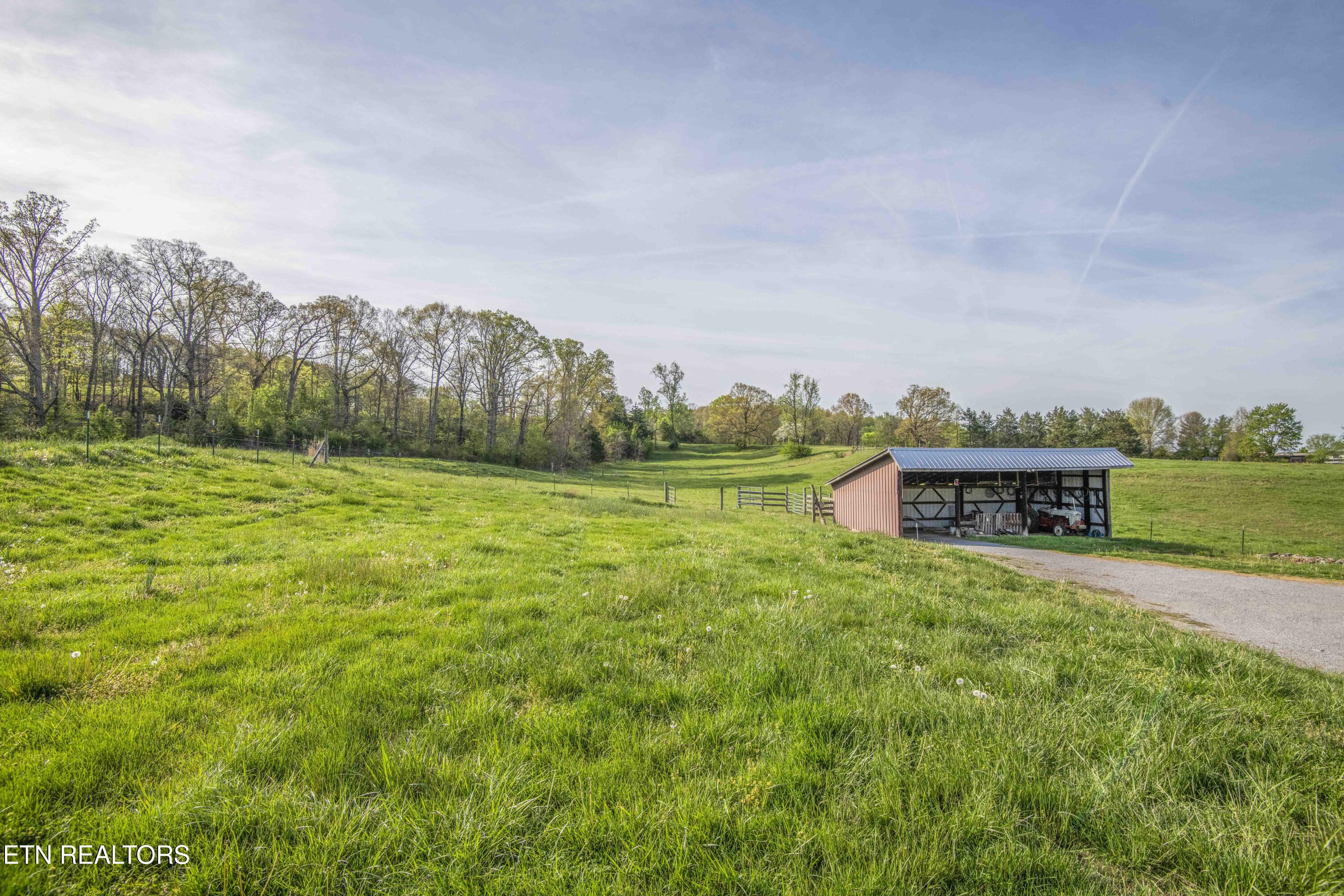 10732 Richland Road Mascot, TN 37806 - Photo 39 of 59 yard 9_1