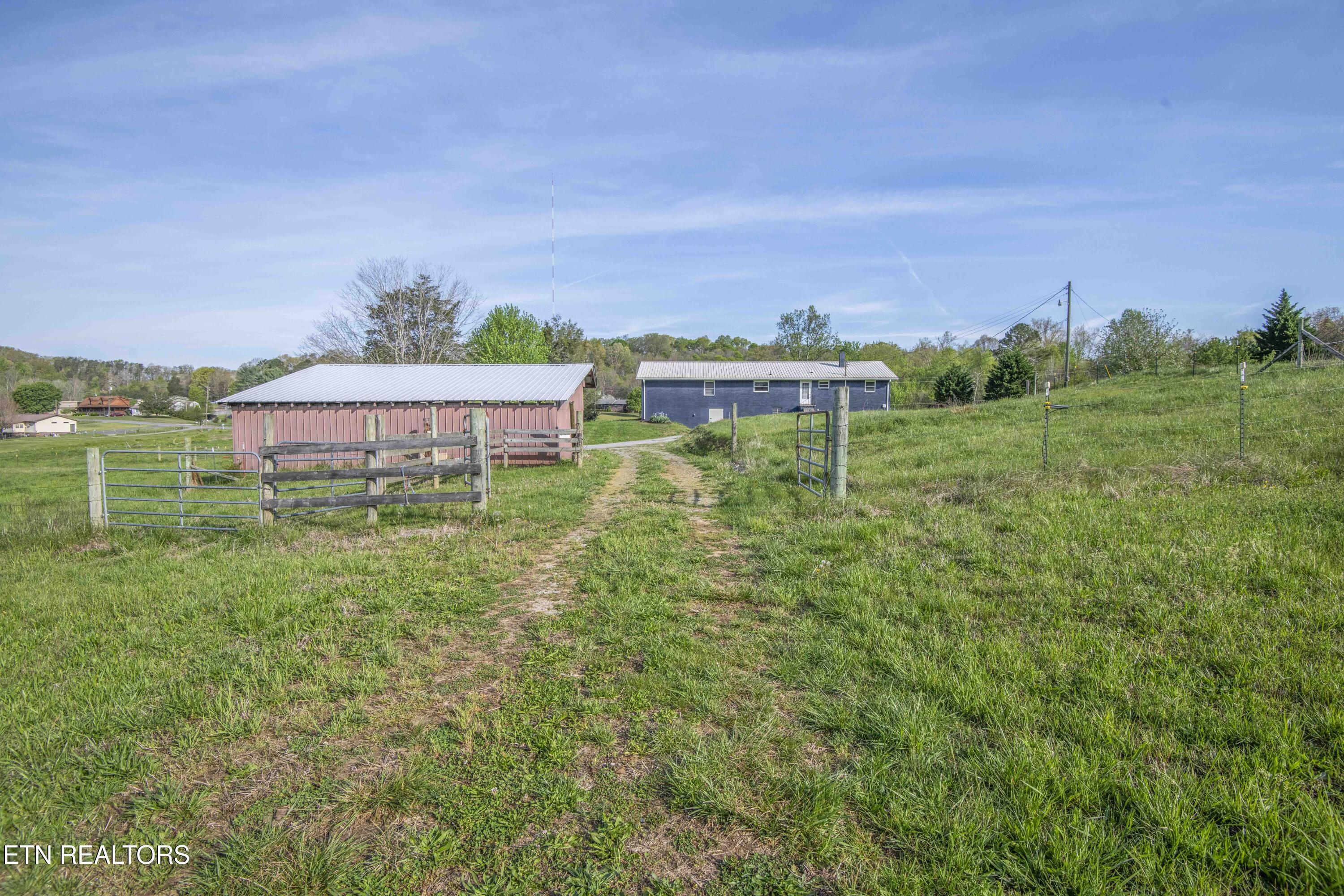 10732 Richland Road Mascot, TN 37806 - Photo 43 of 59 yard 2_1