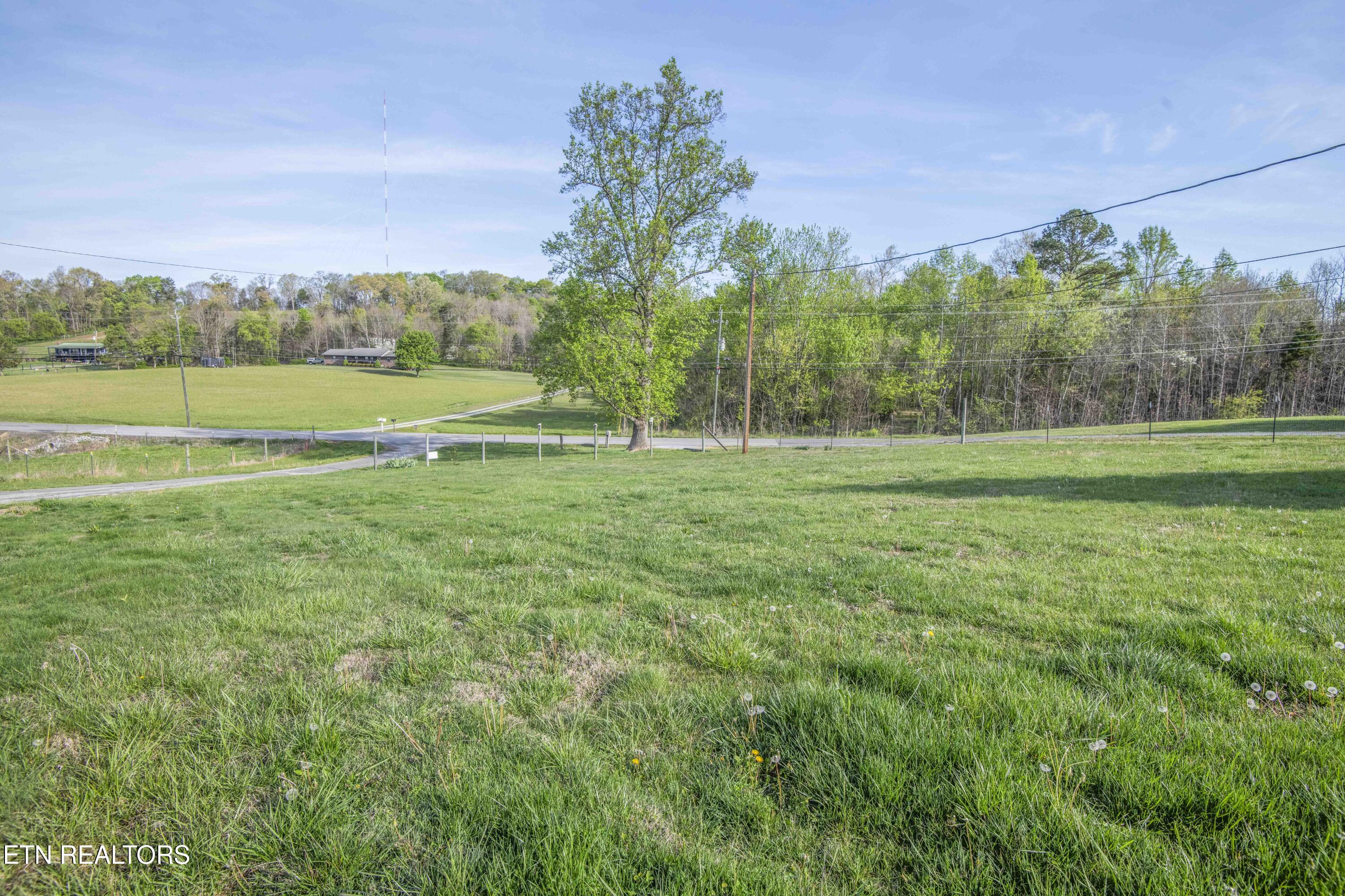 10732 Richland Road Mascot, TN 37806 - Photo 48 of 59 yard 10_1