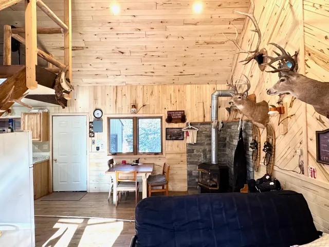 $350,000 | Tbd Tangnes Forest Road, Warroad, MN 56763