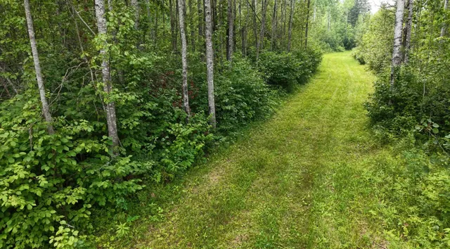$350,000 | Tbd Tangnes Forest Road, Warroad, MN 56763