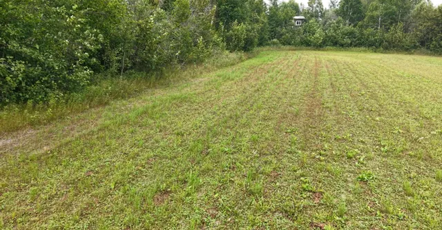 $350,000 | Tbd Tangnes Forest Road, Warroad, MN 56763