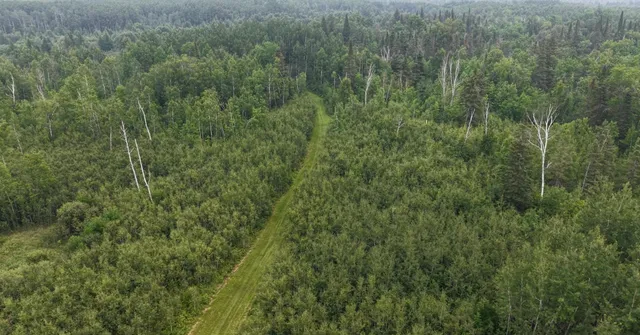 $350,000 | Tbd Tangnes Forest Road, Warroad, MN 56763