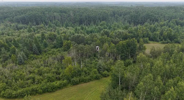 $350,000 | Tbd Tangnes Forest Road, Warroad, MN 56763
