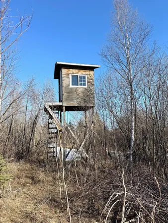 $350,000 | Tbd Tangnes Forest Road, Warroad, MN 56763