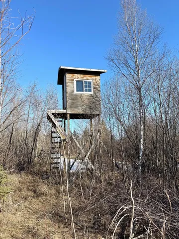 $350,000 | Tbd Tangnes Forest Road, Warroad, MN 56763