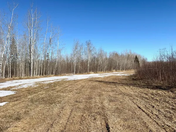 $350,000 | Tbd Tangnes Forest Road, Warroad, MN 56763