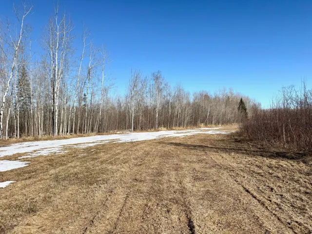 $350,000 | Tbd Tangnes Forest Road, Warroad, MN 56763