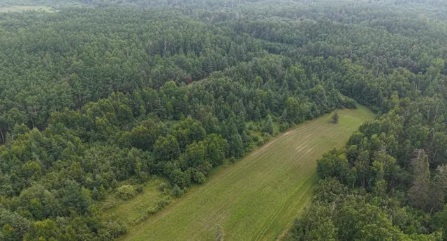 $350,000 | Tbd Tangnes Forest Road, Warroad, MN 56763