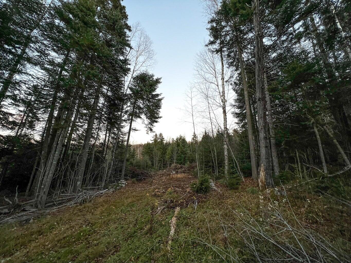 Lot 16 Mill Brook Road Sandy River Plt, ME 04970 - Photo 2 of 44