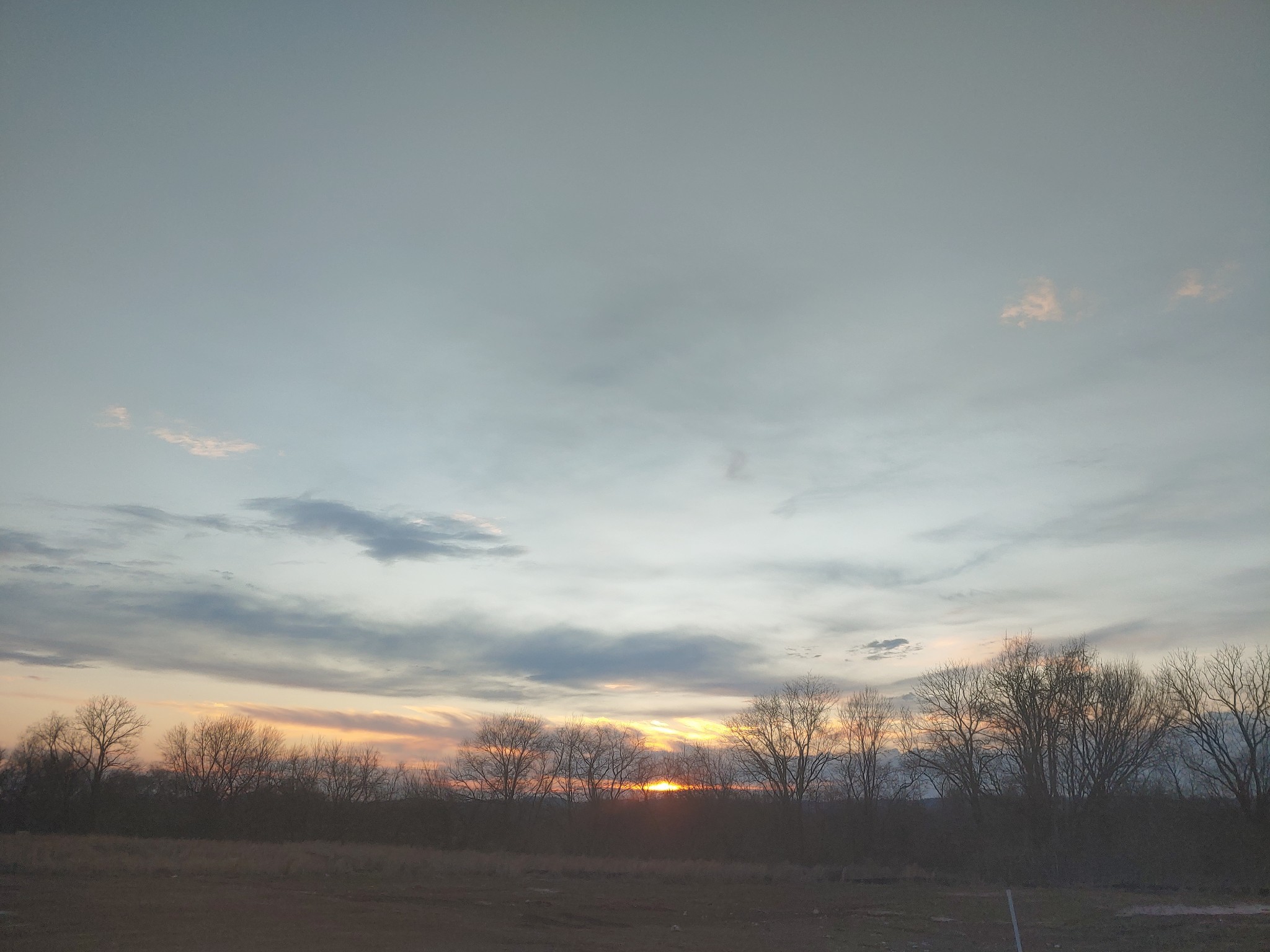 1018 Violet Street Spring Hill, TN 37174 - Photo 41 of 41 Gallery Image 41