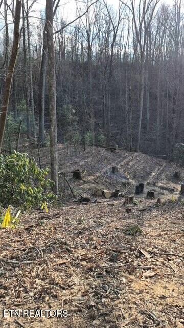 229 Sonshine Ridge Road Cosby, TN 37722 - Photo 21 of 22 20251228_152338(22)