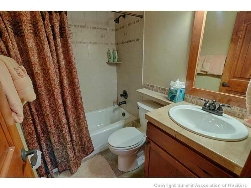 1005 4 O Clock Road Breckenridge, CO 80424 - Photo 16 of 24 a bathroom with a sink a toilet a mirror and shower curtain