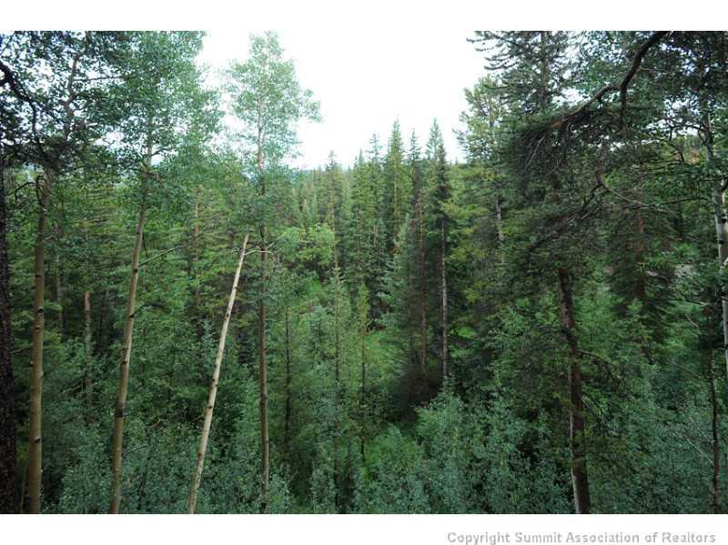 1005 4 O Clock Road Breckenridge, CO 80424 - Photo 21 of 24 a view of a forest with a street